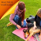 Sraz psích vozíčkářů