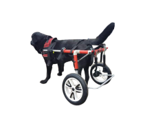 Invalidní vozík pro psa XL Invalidní vozík pro psa XL