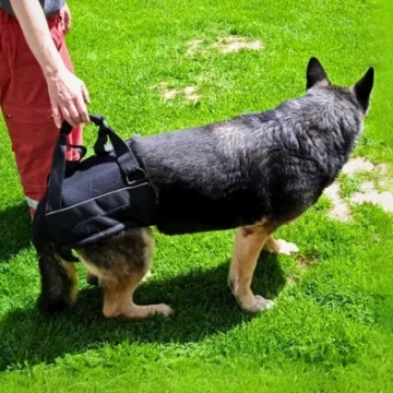 Postroje podporující zadní končetiny - Váha psa v kg - 5,1 - 12 kg