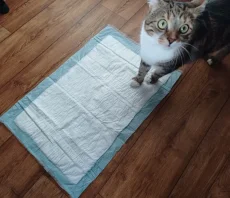 Podložka 40x60cm 30ks