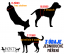 Zvedací postroj pro psa na zadní končetiny XXL - 31-50 kg