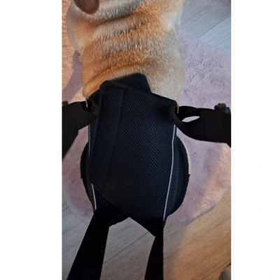 Zvedací postroj na zadní končetiny L - 12,1-20 kg