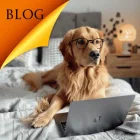 Blog - rádce