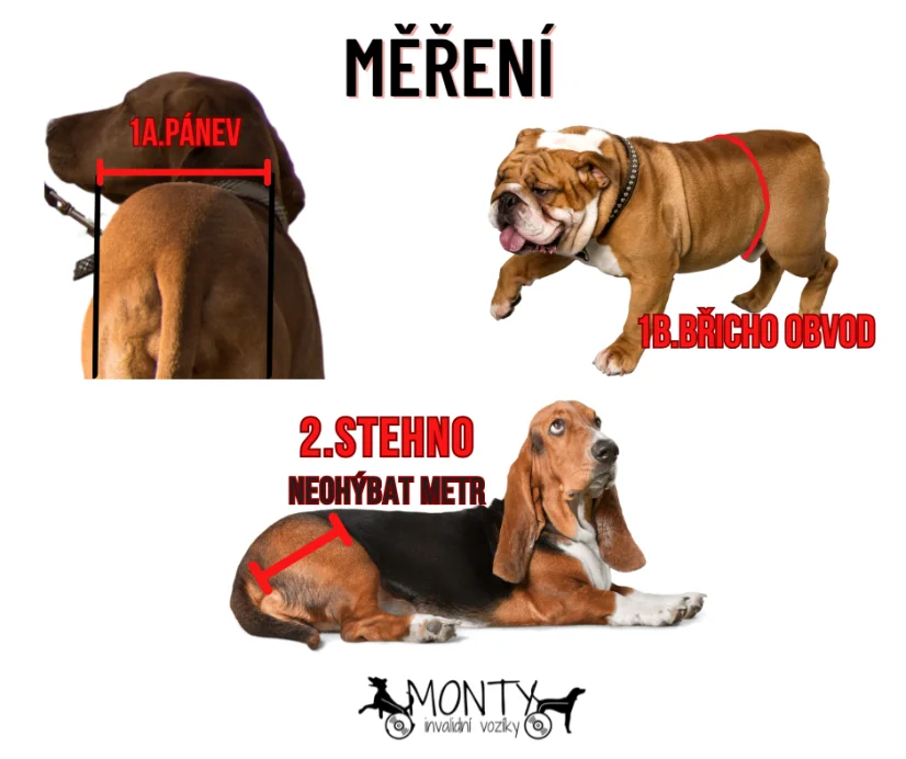 Zvedací postroj na zadní končetiny M - 5,1-12 kg