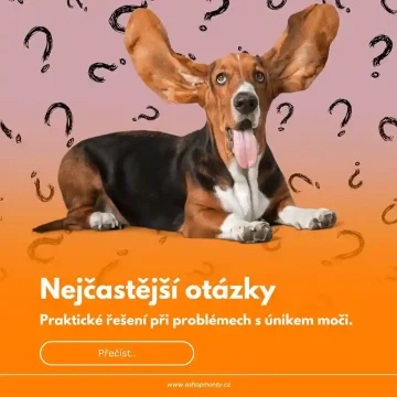 Nejčastější otázky