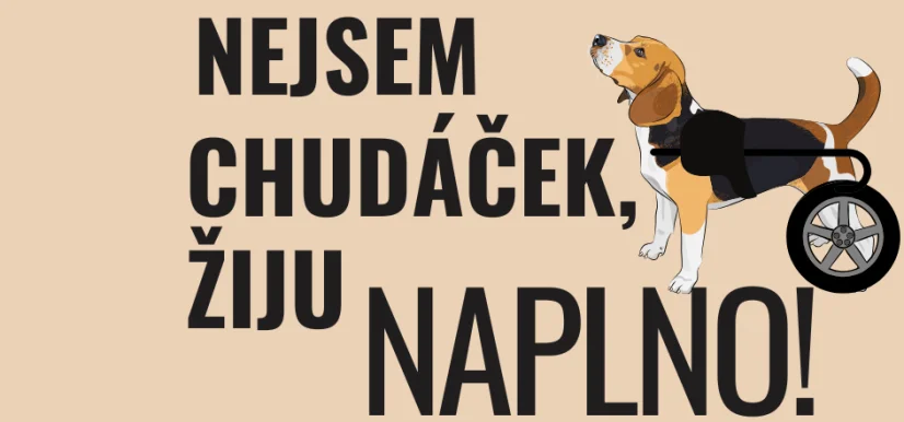 Vlajka na vozíček