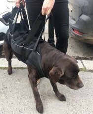 Zvedací postroj celotělový XXL - 31 -50 kg