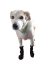 Návleky na nohy, boty pro psy