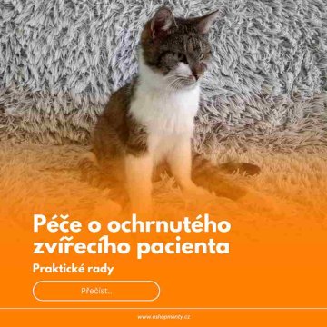 Péče o ochrnutého zvířecího pacienta