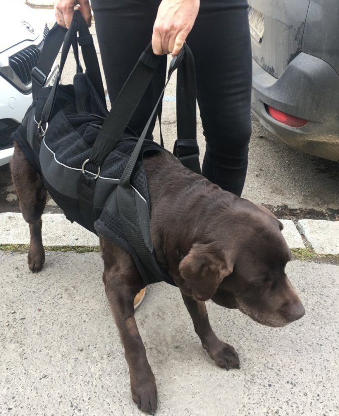 Zvedací postroj celotělový XXL - 31 -50 kg