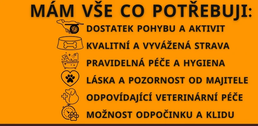 Vlajka na vozíček