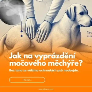 Jak na vyprázdnění močového měchýře a střev