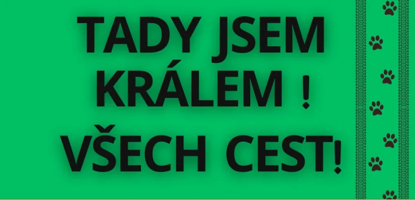 Vlajka na vozíček