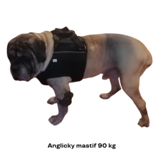 Zvedací postroj pro psa na přední končetiny  XXL - od 31 kg