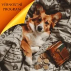 Věrnostní program