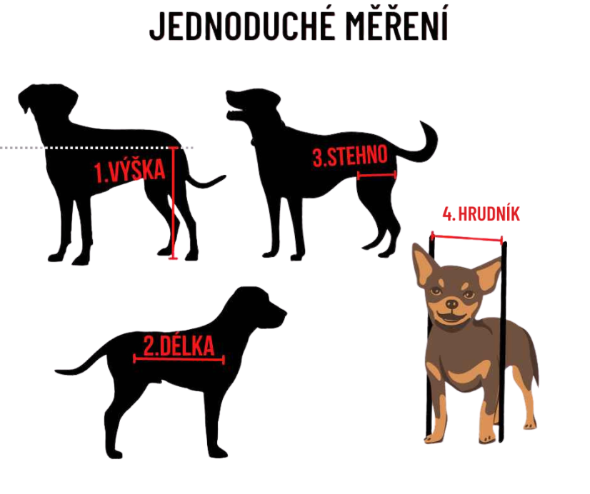 Vozík pro psa na podporu zadních nohou do 15 kg  Jezevčík