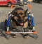Invalidní vozíček na podporu všech 4 končetin - čtyřkolka XL 25 -50kg