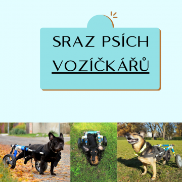 9.ročník Voříškiáda Fauničky a celorepublikového srazu psích vozíčkářů.
