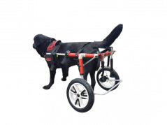 Invalidní vozík pro psa XL