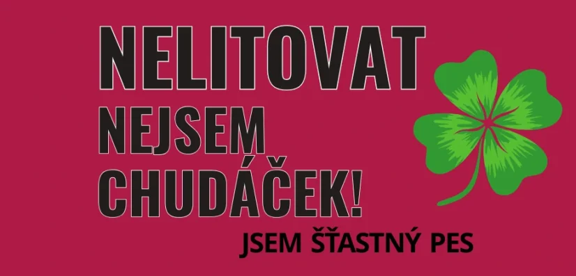 Vlajka na vozíček