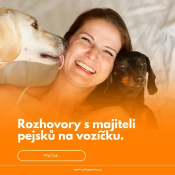 Rozhovory s majiteli pejsků na vozíčku.