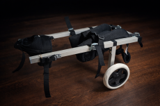 Vozík pro psa na podporu zadních nohou do 15 kg  Jezevčík